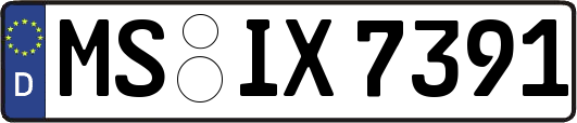 MS-IX7391