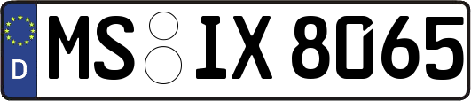 MS-IX8065