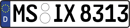 MS-IX8313