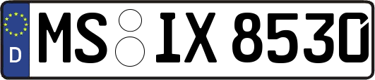 MS-IX8530