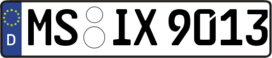 MS-IX9013
