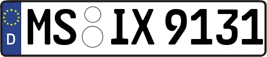 MS-IX9131