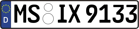 MS-IX9133