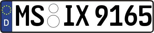 MS-IX9165