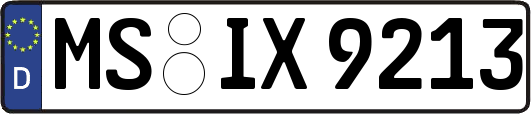 MS-IX9213