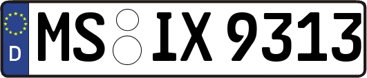 MS-IX9313