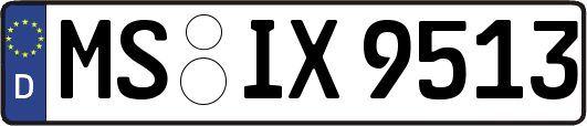 MS-IX9513