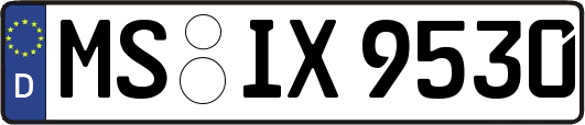 MS-IX9530