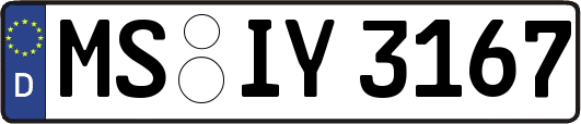 MS-IY3167