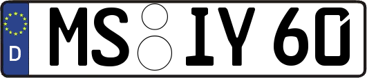 MS-IY60