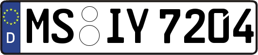 MS-IY7204