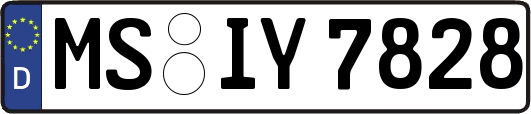MS-IY7828