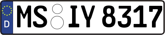 MS-IY8317