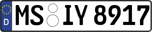 MS-IY8917