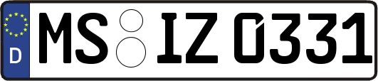 MS-IZ0331