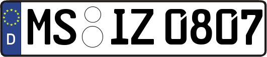 MS-IZ0807