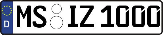 MS-IZ1000