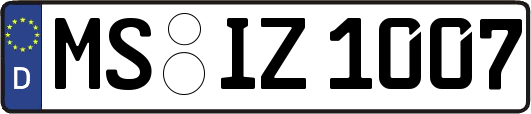 MS-IZ1007