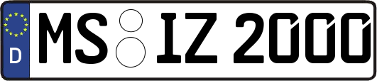 MS-IZ2000