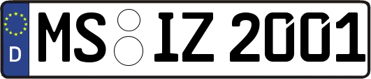 MS-IZ2001