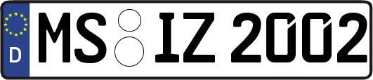 MS-IZ2002