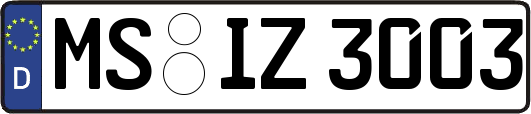 MS-IZ3003