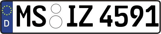 MS-IZ4591