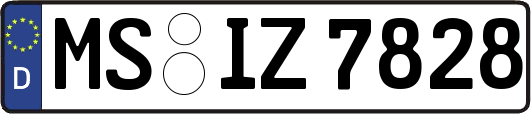 MS-IZ7828