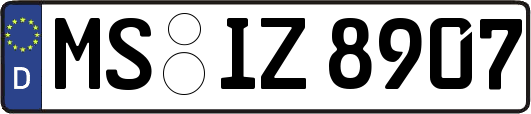 MS-IZ8907