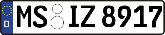 MS-IZ8917