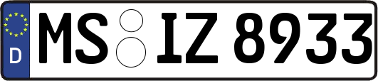 MS-IZ8933