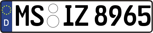 MS-IZ8965
