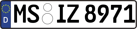 MS-IZ8971