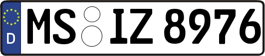 MS-IZ8976