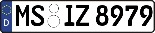 MS-IZ8979