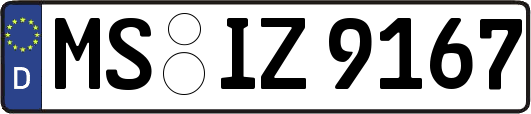 MS-IZ9167