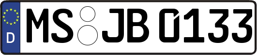MS-JB0133
