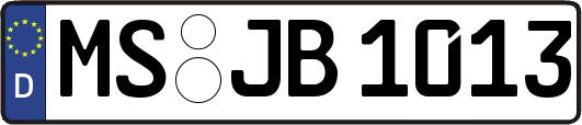 MS-JB1013