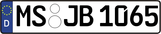 MS-JB1065