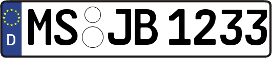 MS-JB1233