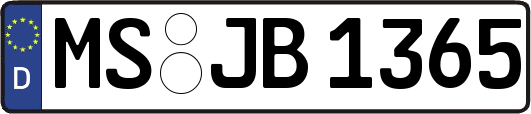 MS-JB1365