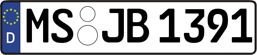 MS-JB1391