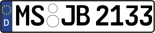 MS-JB2133