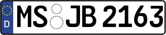 MS-JB2163