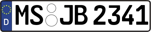 MS-JB2341