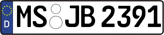 MS-JB2391