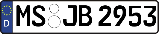 MS-JB2953