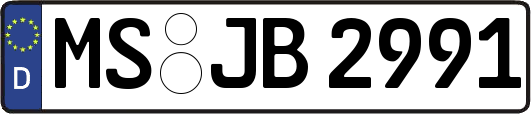 MS-JB2991