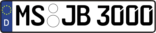 MS-JB3000