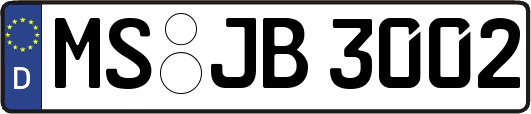 MS-JB3002